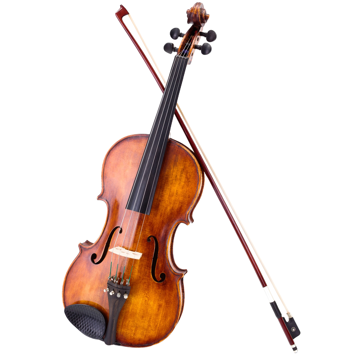 TSM-Violin copy